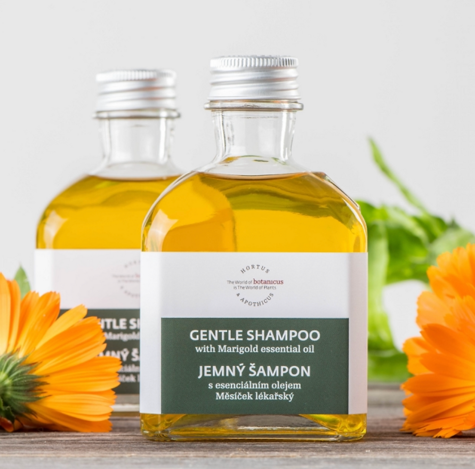 Miniaturbild: Ringelblume - Linie