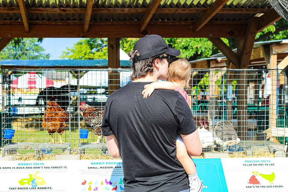 Tips and Tricks for Surviving the Indiana State Fair