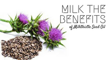 Milk the Benefits of Milk Thistle Seed Oil