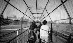 Friends. Grândola, Setúbal
