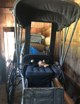 more wagons_edited.jpg