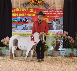 ayerscliff2017 269.JPG