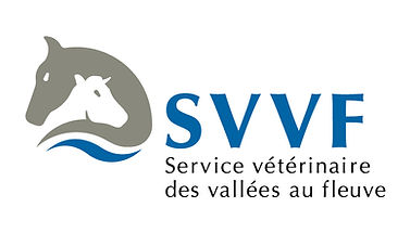 LOGO SVVF (rvb).jpg