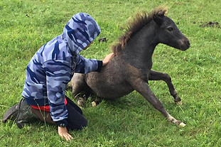 20770510_10208627601760979_7763195909091