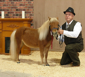 54190747_2002526576722301_13752871227553