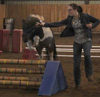 53915133_2401265756552635_27787636964222