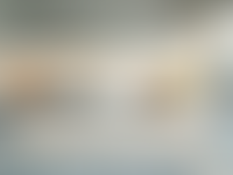 Start Fresh with Move-In Cleaning Services