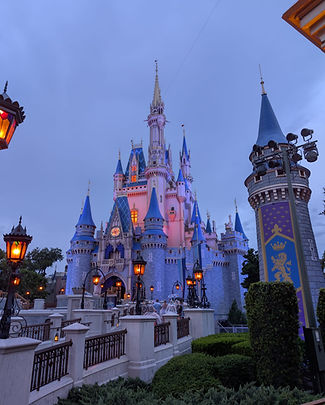 Disney Castle.jpg