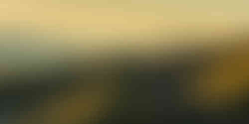 Golden leuchten Nebelbänke im Morgenlicht über dem Rheinland