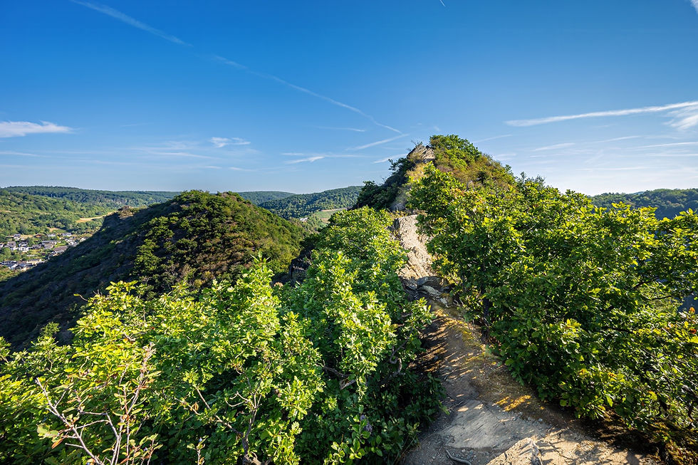 Schmaler felsiger Pfad auf dem bewaldeten Engelsley-Grat mit Blick über die Hänge des Ahrtals.