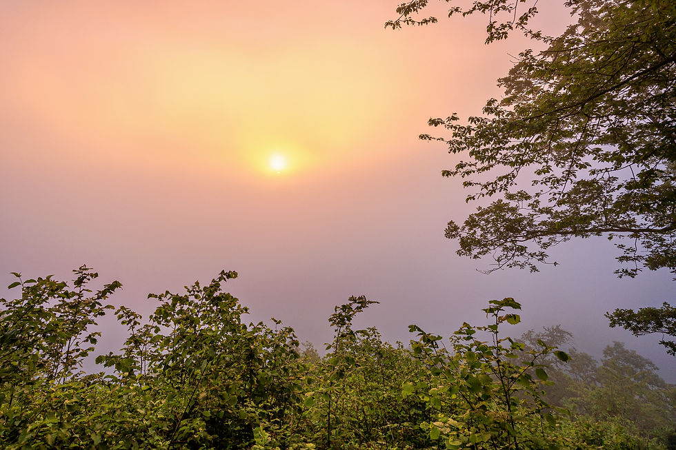 Sonne als blasse Scheibe im Morgennebel auf der Westseite des Mont Royal, Mosel, Rheinland-Pfalz.