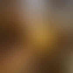 Sonnenstern über einem Laubweg am Rursee, das warme Licht streift Bäume und Wanderpfad.