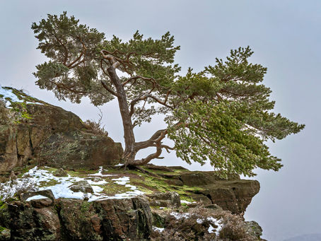 Photohike Nideggen – Ein Wintertag zwischen den Zeiten