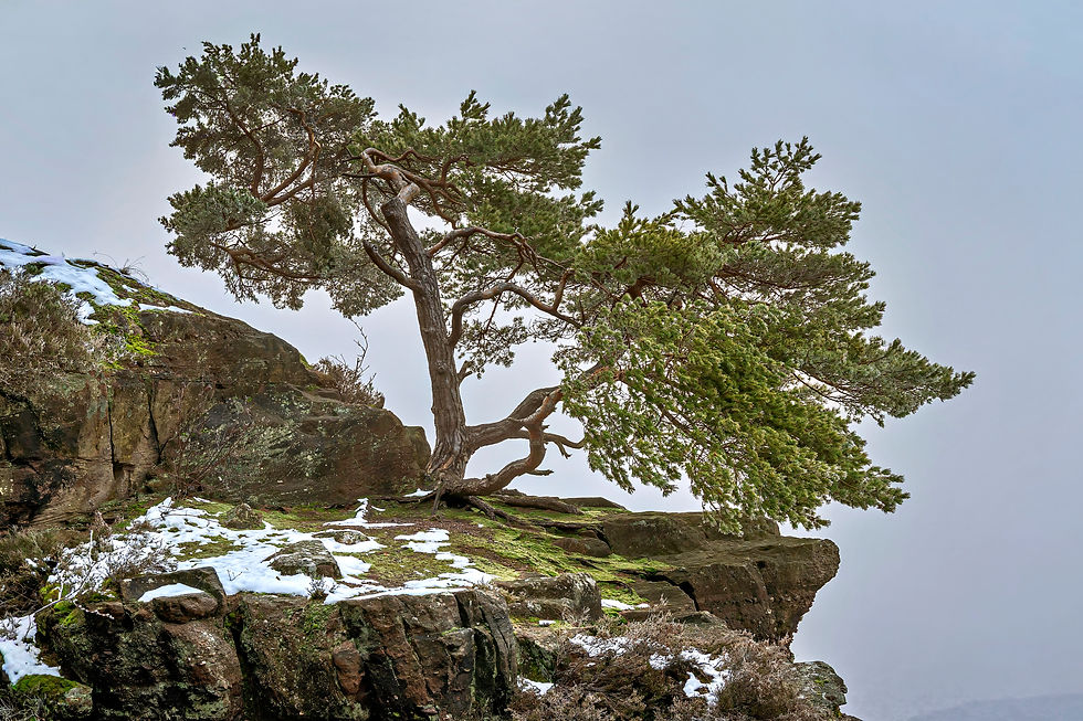 Photohike Nideggen – Ein Wintertag zwischen den Zeiten