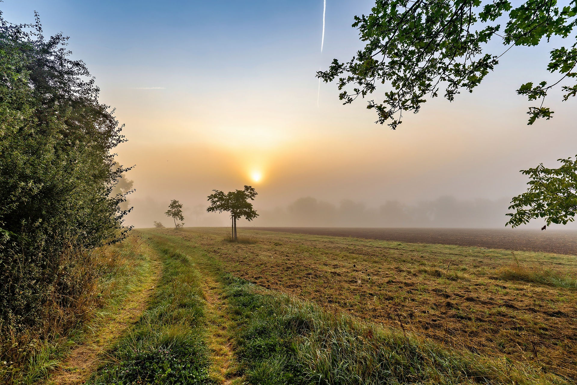 Ein Feldweg ins weiße Nichts des Nebels. Die Sonne steht als gelblicher Ball im Nebel.