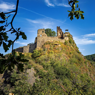 Ruine der Burg Are auf einem felsigen Bergrücken über dem Ahrtal, eingerahmt von Ästen und sommerlichem Grün.