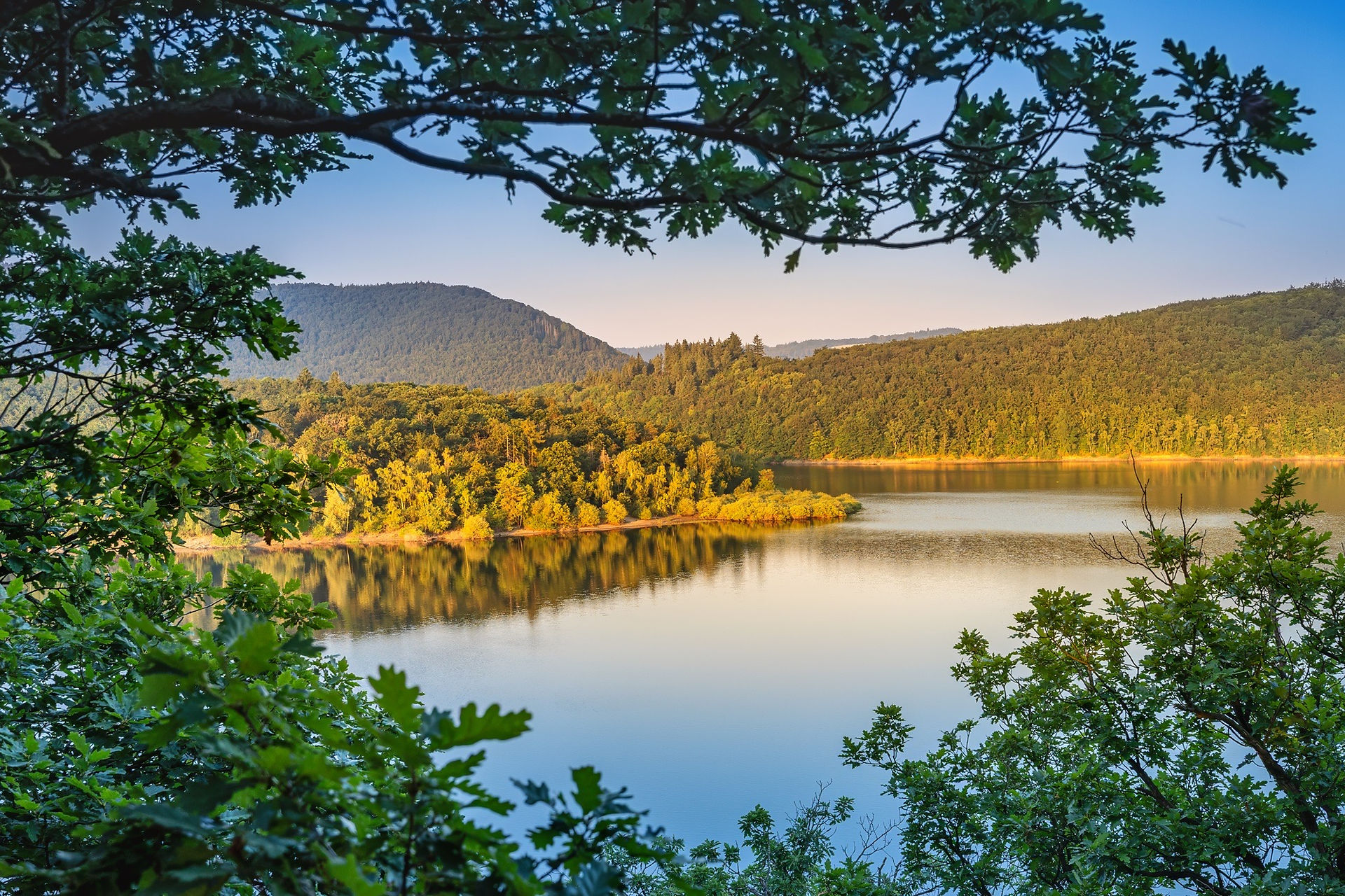 Der Rursee liegt ruhig zwischen bewaldeten Hängen. Überhängende Eichenblätter rahmen den Blick auf eine hell beleuchtete Uferlinie im Morgenlicht.