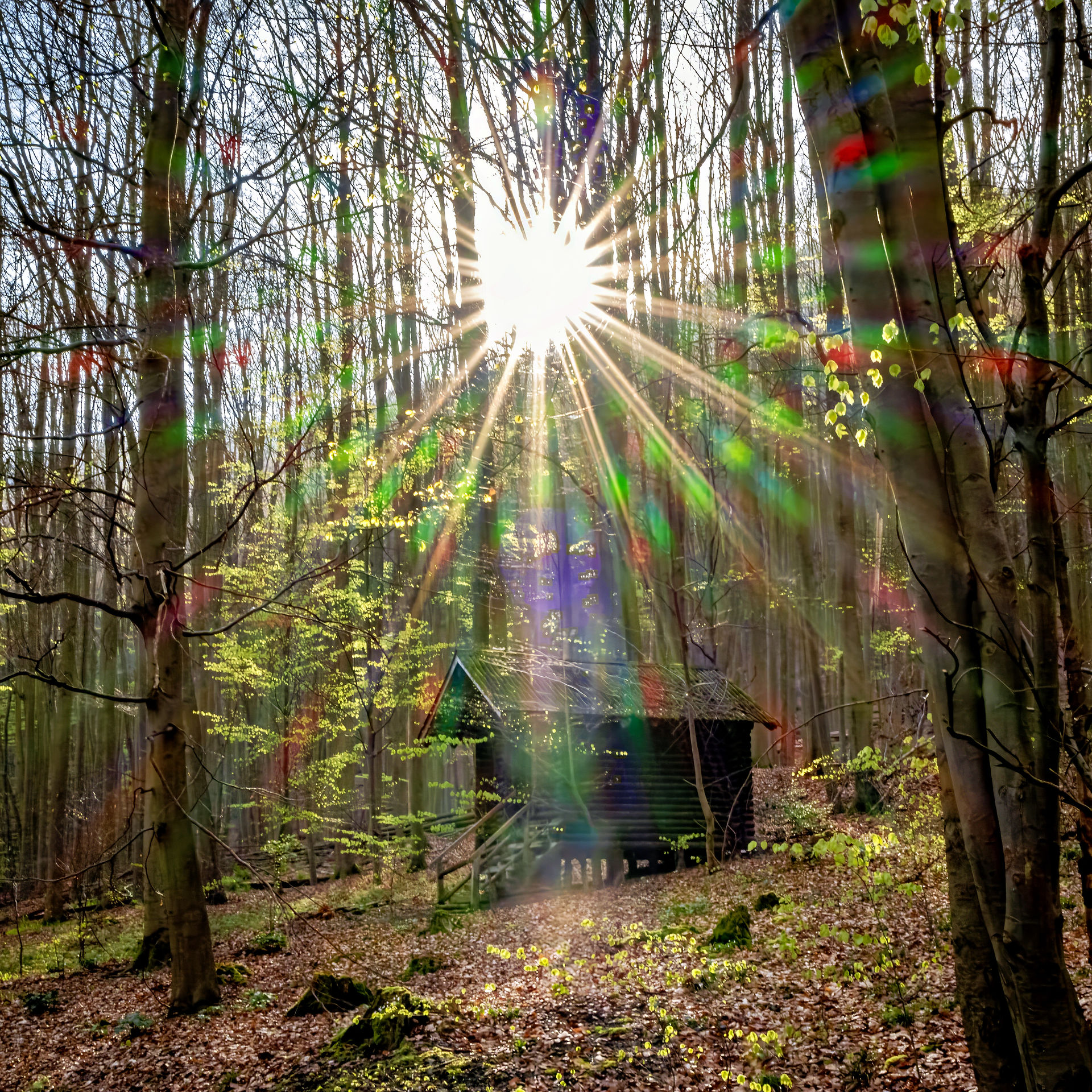 Eine Schutzhütte im Wald, darüber die Morgensonne als Blendenstern mit vielen bunten Lensflares