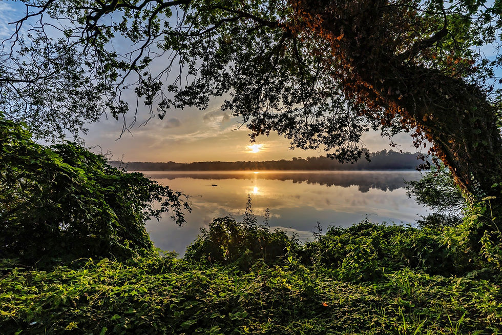 Sunrise over Glabbacher Bruch at Krickenbeck Lakes, framed by lush greenery and tree branches, with a golden reflection on the calm water.