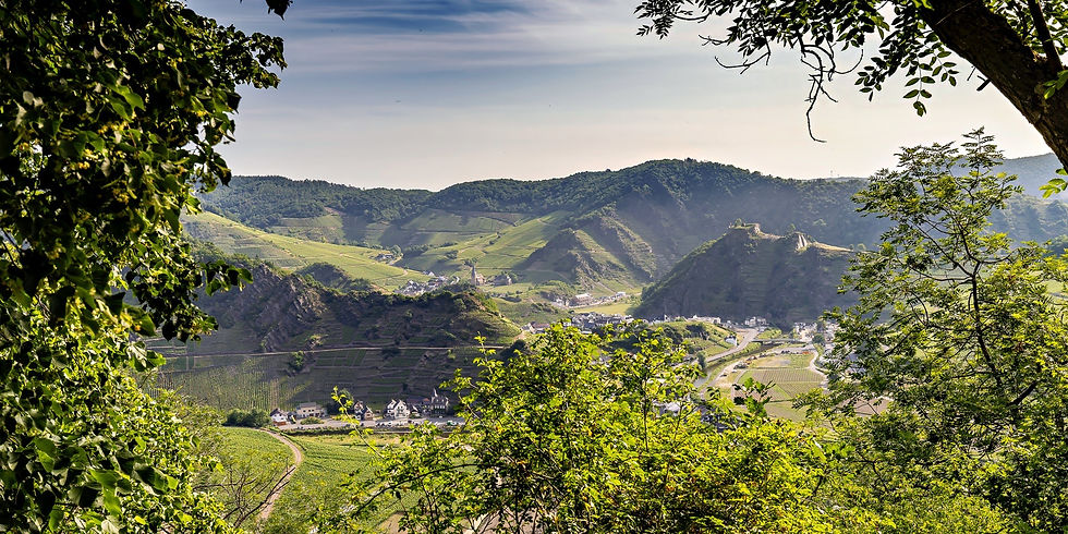 Panoramablick über das Ahrtal mit Saffenburg