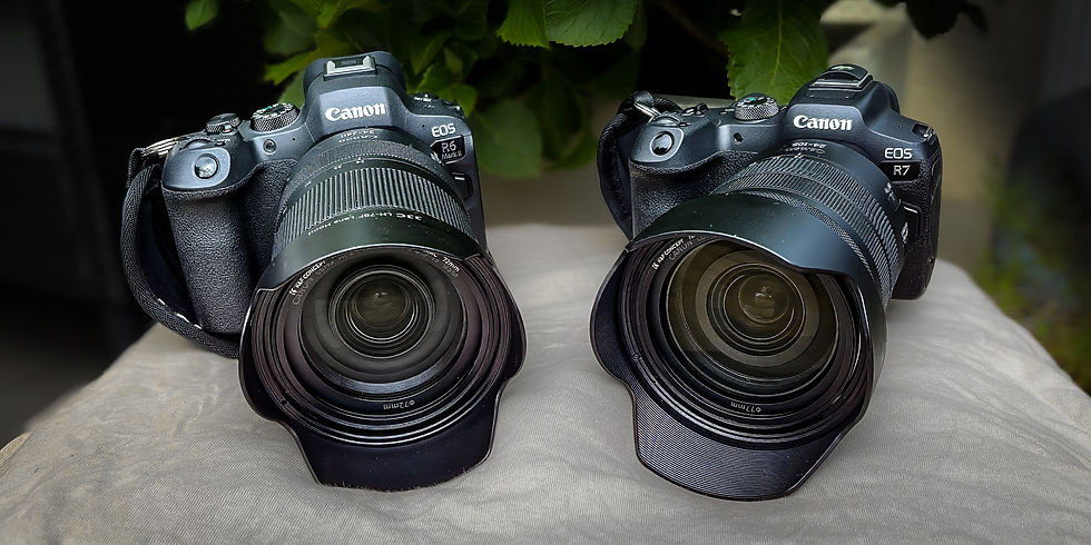 Welche Kamera für die Wanderfotografie? Canon EOS R7 vs. R6 Mark II im echten Einsatz