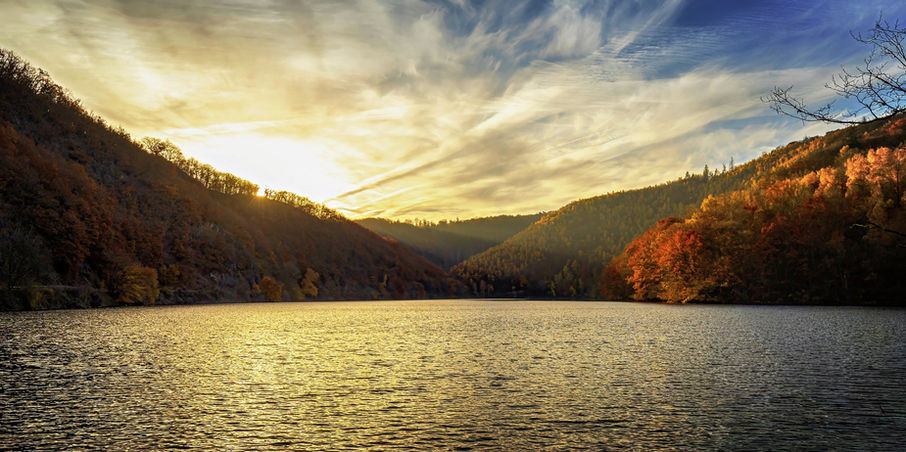 Blick über den Rursee auf bewaldete Hänge unter einem hellen, aber weitgehend strukturlosen Morgenhimmel.