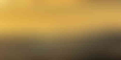 Golden leuchten Nebelbänke im Morgenlicht über dem Rheinland