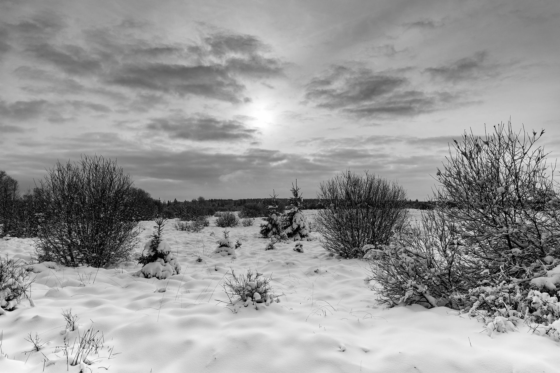 Das Licht hält Abstand, die Landschaft antwortet mit Struktur. Zwischen Himmel und Schnee bleibt nur
