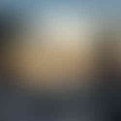 Bäume auf dem Steinerberg im Morgenlicht, frostiges Gras im Vordergrund, erste warme Farben am Horiz