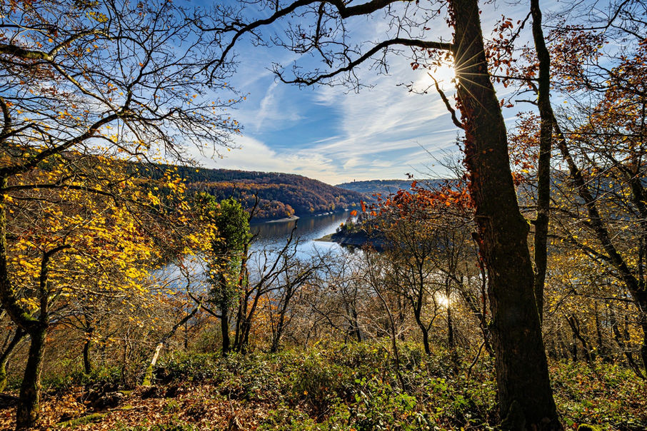 Blick durch kahle und herbstlich belaubte Bäume des Kermeterwaldes auf eine Bucht des Rursees und die gegenüberliegenden Hänge.