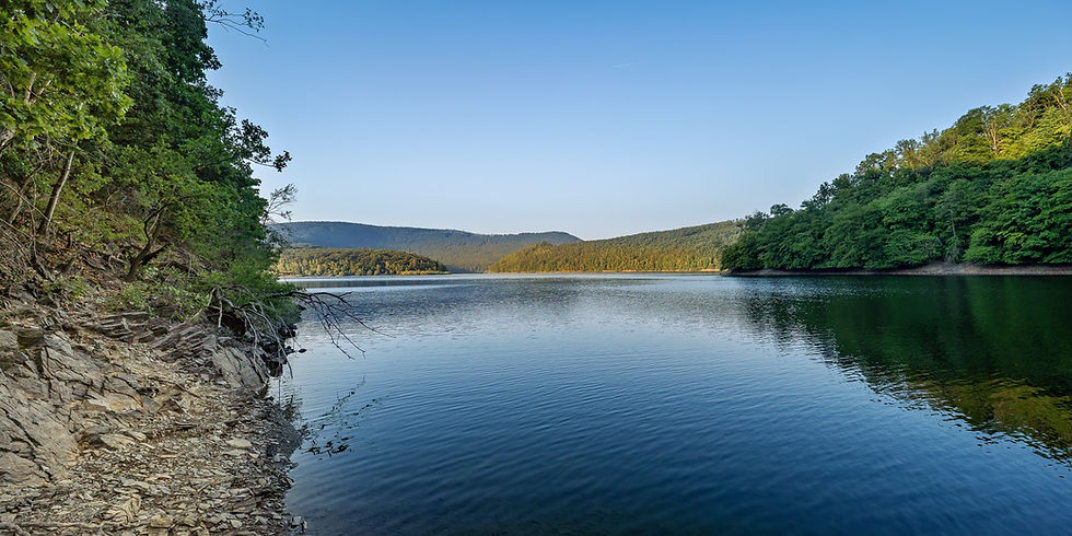 Blick vom steinigen Ufer über den ruhigen Rursee. Links fällt der bewaldete Hang steil ans Wasser, gegenüber liegen bewaldete Ufer im frühen Sommerlicht.