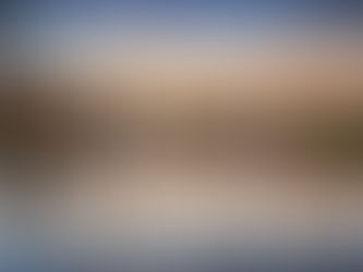 Morgenlicht über dem Borner See