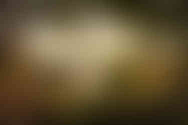 Bunter Herbstwald mit Felsformation