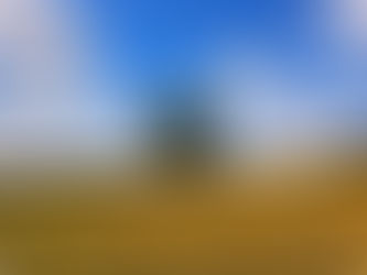 Kleine Kamera, große Wirkung: So meisterst du die Bildkomposition mit dem iPhone