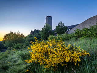 Turm der ehemaligen NS-Ordensburg Vogelsang IP im frühen Morgenlicht, dunkel vor dem aufgehellten Himmel.
