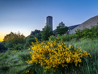 Turm der ehemaligen NS-Ordensburg Vogelsang IP im frühen Morgenlicht, dunkel vor dem aufgehellten Himmel.