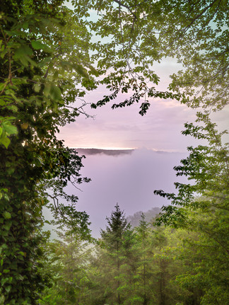 Fading II