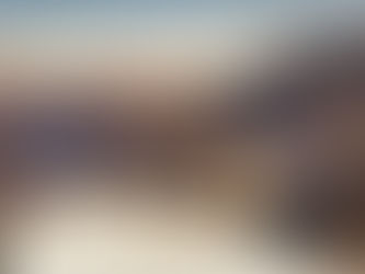 Insel in der Wuppertalsperre im Vorfrühling