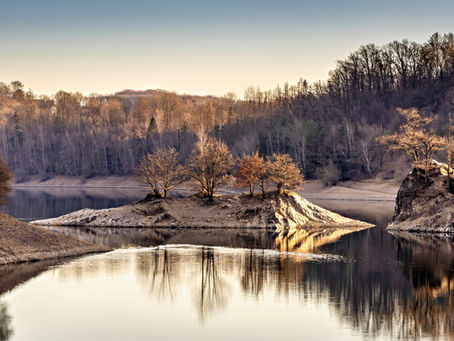 Insel in der Wuppertalsperre im Vorfrühling