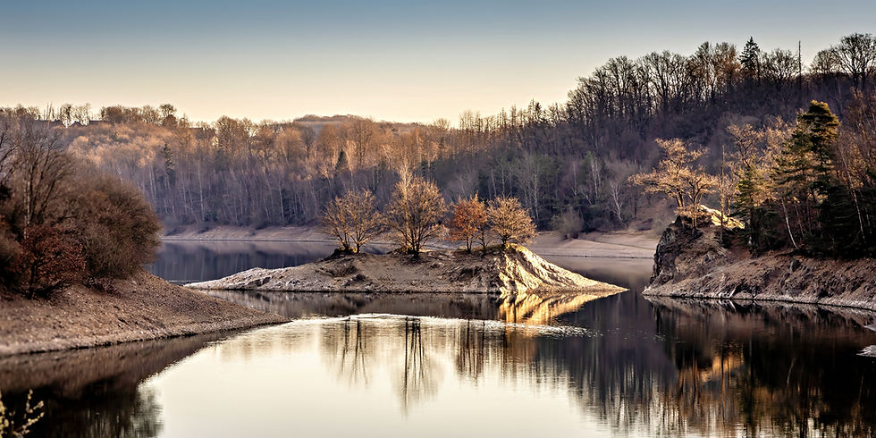Insel in der Wuppertalsperre im Vorfrühling