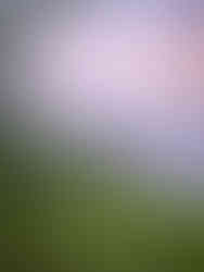 Fading I