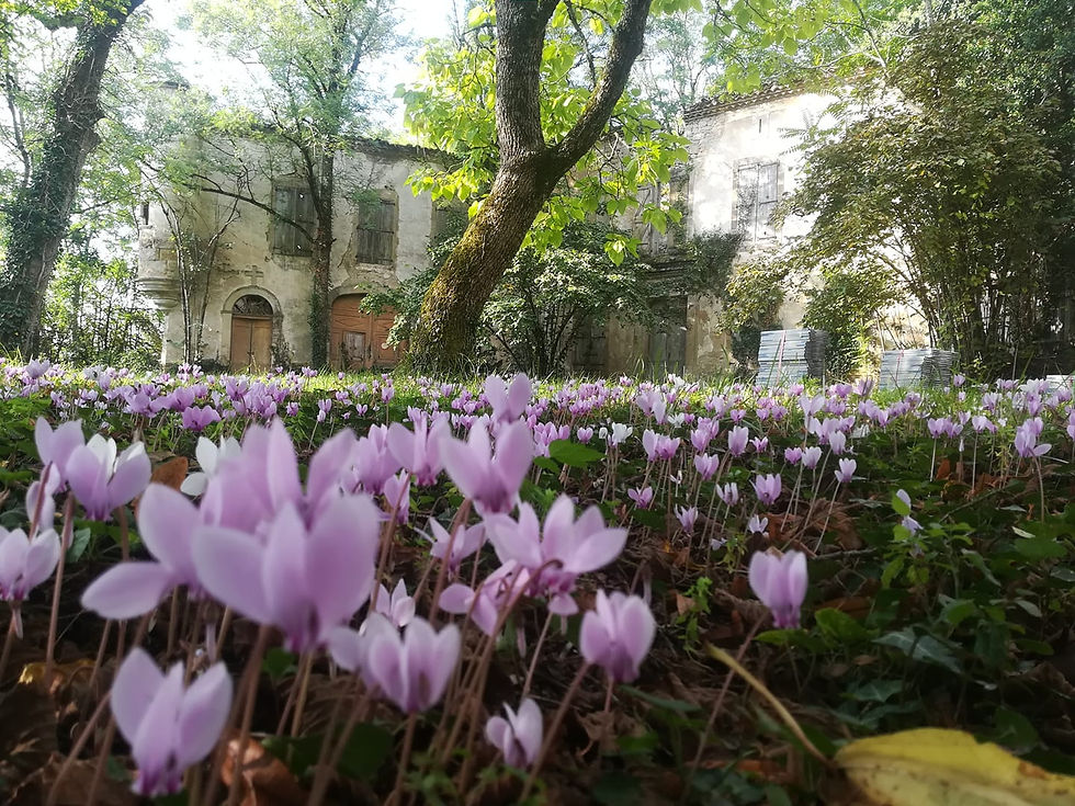photo 4.jpg