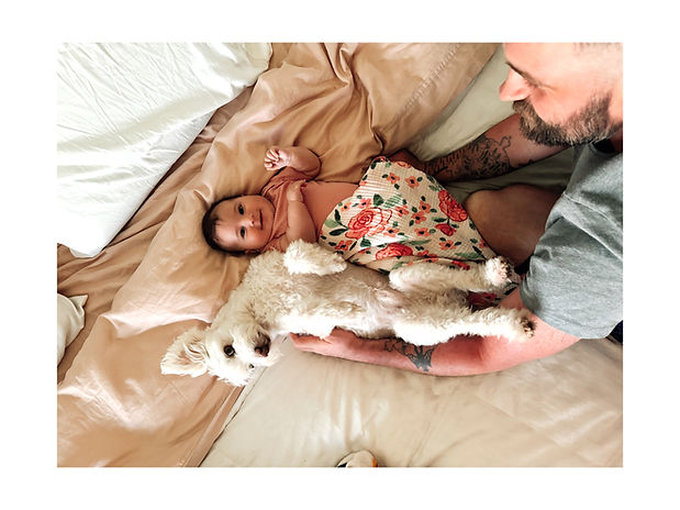 Marigold Falkor Bed_edited_edited.jpg