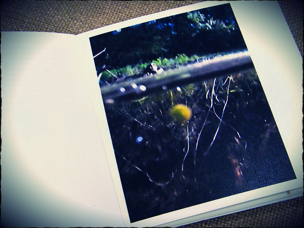 Miniature : ça coule & ça crache • Ian Monk, Hervé Van de Meulebroeke