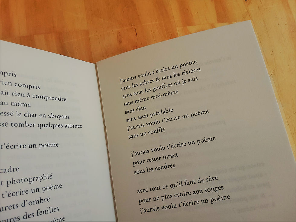 Miniature : J'aurais voulu t'écrire un poème • Pierre Soletti