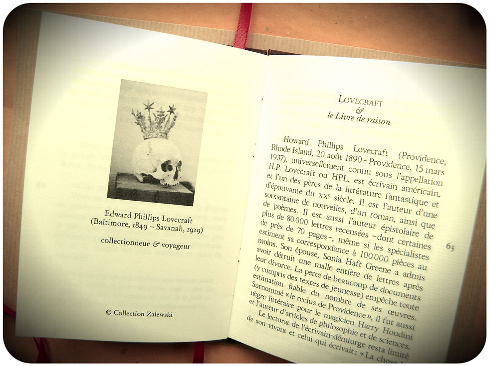 Miniature : Le Collectionneur de Providence • Éric Poindron