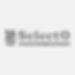 selecto logo.png