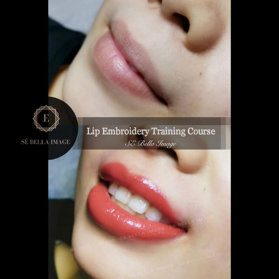 lip embroidery training course
