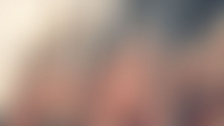 A Thank You to Our Veterans