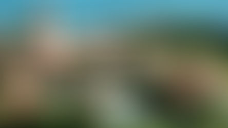 Celebrate America with CPAC at the Investor Summit